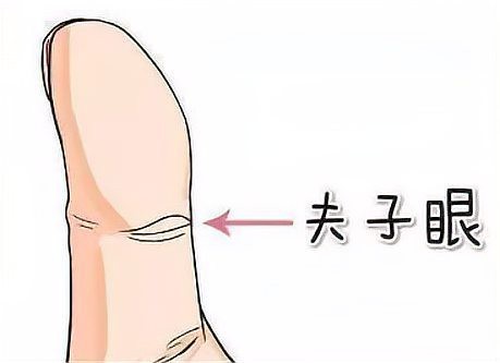 龍眼紋手相