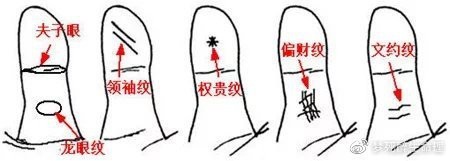 龍眼紋手相