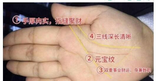 龍眼紋手相