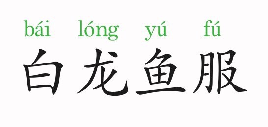 白龍魚服的故事 白龍魚服的故事 龍魚百科 第5張