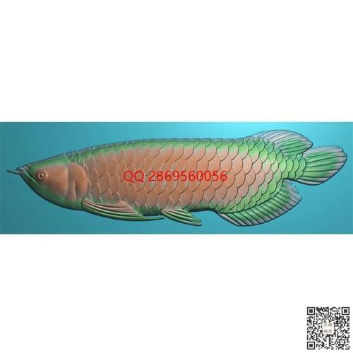 金龍魚浮雕圖片