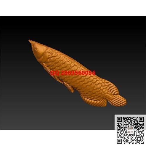 金龍魚浮雕圖片