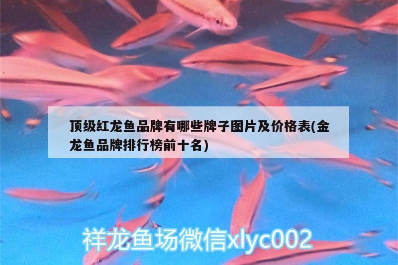 <strong><mark>古塔</mark></strong>區花鳥魚城雁冰水族店：
