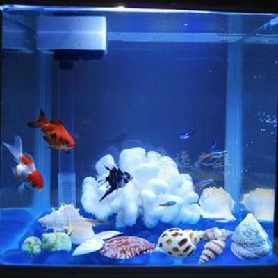 魚缸 珊瑚：珊瑚養殖入門指南