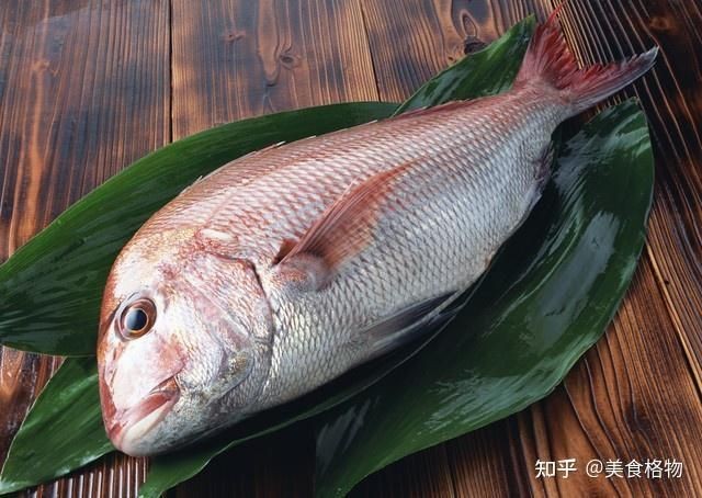 海魚最好吃的是什么魚