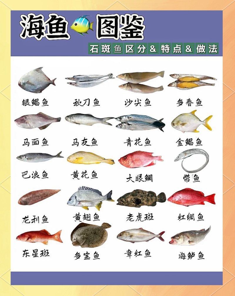 海魚最好吃的是什么魚