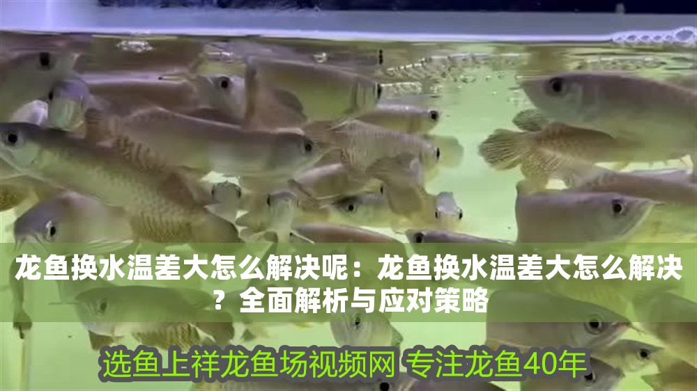 金龍魚用燈管和led哪個好用點【金龍魚在燈管和led光源下哪個更能促進其健康成長？】