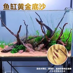 養(yǎng)魚(yú)新手養(yǎng)魚(yú)新手入門指南，新手養(yǎng)魚(yú)新手入門指南：養(yǎng)魚(yú)新手入門指南