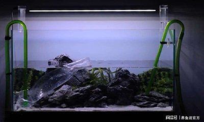 觀賞魚品種大全及種類有哪些,佛山觀賞魚養殖基地有哪些品種 觀賞魚百科 第2張 觀賞魚品種大全及種類有哪些,佛山觀賞魚養殖基地有哪些品種 觀賞魚品種大全及種類有哪些,佛山觀賞魚養殖基地有哪些品種 觀賞魚百科 第2張