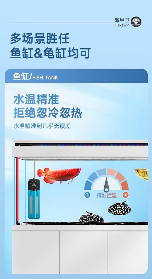 如何預防龍魚眼白膜再次復發？