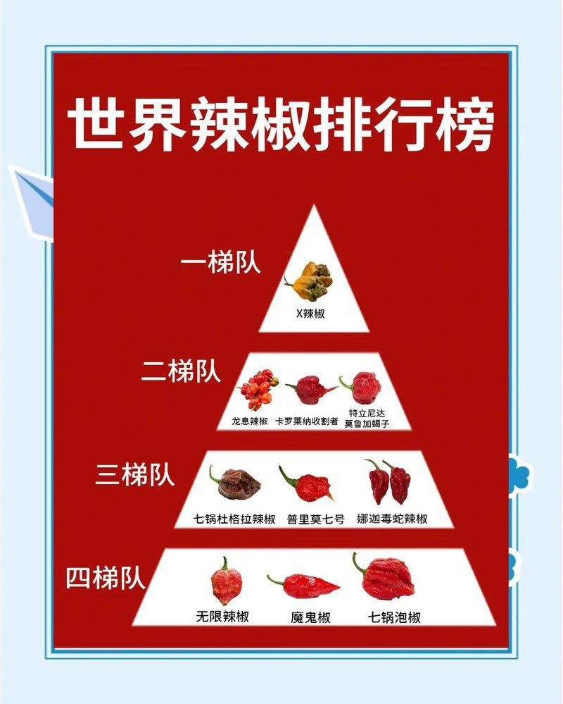 如何區(qū)分純種紅龍與雜交紅龍？