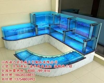 海之星魚缸是一種經濟實用的專業制作生態魚缸的選擇：<strong><mark>山西</mark></strong>海之星生態魚缸