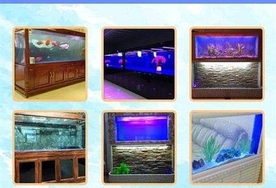 海之星魚缸是一種經(jīng)濟實用的專業(yè)制作生態(tài)魚缸的選擇：山西海之星生態(tài)魚缸
