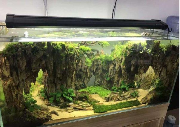 魚缸水景設(shè)計的藝術(shù)與科學：海底造景魚缸設(shè)計效果圖揭秘珊瑚礁生態(tài)系統(tǒng)揭秘