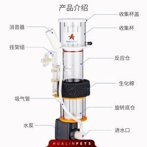 魚缸水泵沒有反應：如何清理魚缸水泵堵塞