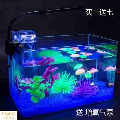 極魚魚缸 極魚魚缸 魚缸百科 第3張