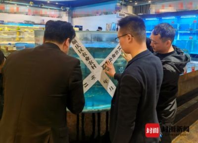 廣漢魚缸定制店怎么找:廣漢魚缸定制店 魚缸百科 第1張 廣漢魚缸定制店怎么找:廣漢魚缸定制店 廣漢魚缸定制店怎么找:廣漢魚缸定制店 魚缸百科 第1張