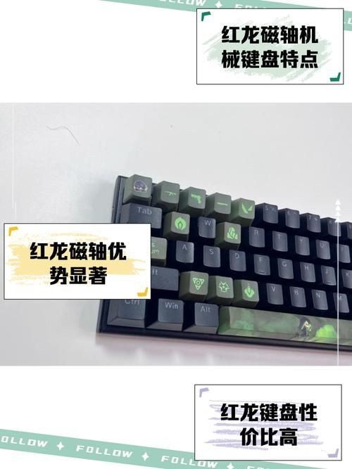 紅龍馭者圖片