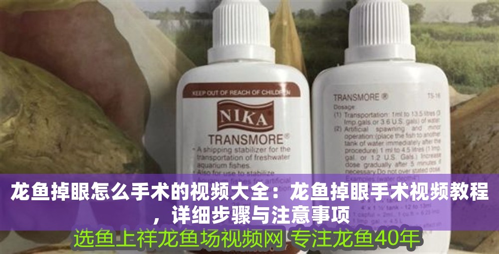 龍魚掉眼怎么手術的視頻大全：龍魚掉眼手術視頻教程，詳細步驟與注意事項