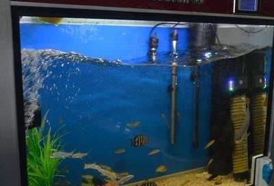 魚缸時間調整 魚缸時間調整 魚缸百科 第4張