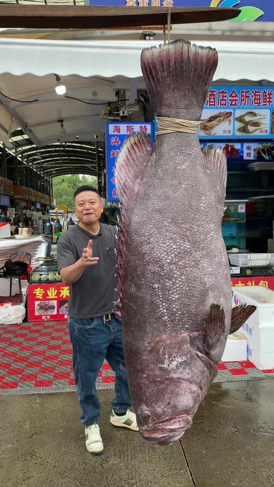 如何辨別真假龍躉魚？ 如何辨別真假龍躉魚？ 龍魚論壇 第1張