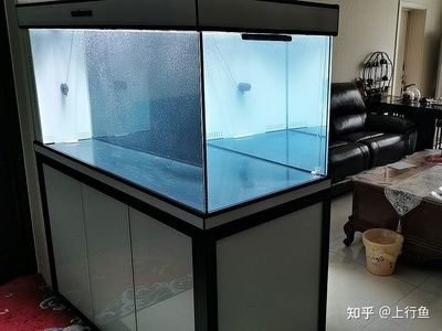 高大上的魚缸設計與挑戰巨型水族箱設計與挑戰巨型水族箱：什么是高大上的魚缸