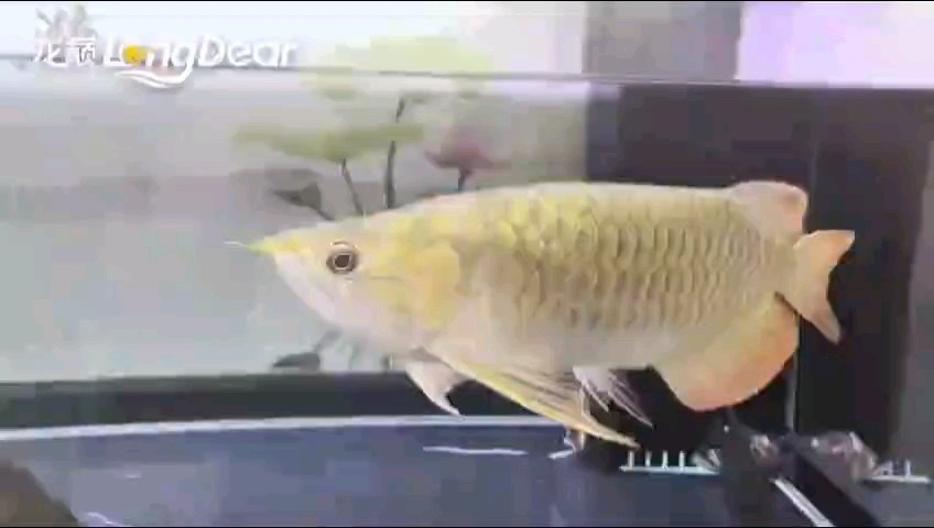 轉發824