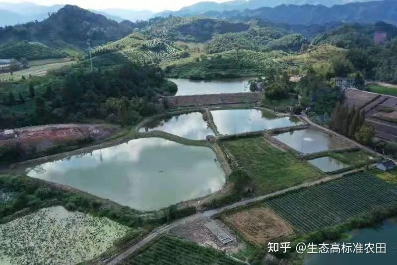 高海拔2000適合養(yǎng)什么魚 高海拔2000適合養(yǎng)什么魚 龍魚論壇 第4張