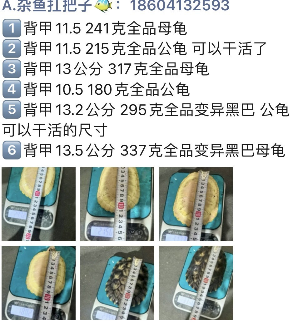 曾經千元級別 現在只需百元
