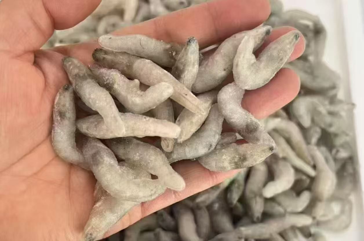 精品淡水白蝦 嘎嘎鮮 化開就能喂 去蝦槍尾刺化凍后即可投喂 性價(jià)比之王比蝦段合適多了 化開就能喂 嘎嘎新鮮 不新鮮給我退回來(lái) 5-7公分180十斤遼寧省內(nèi)包郵包損 3-5公分150十斤遼寧省內(nèi)包郵包損