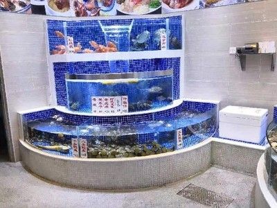 廣州專業搬魚缸公司有哪些：尋找廣州專業搬魚缸公司時可以從以下幾個品牌進行選擇
