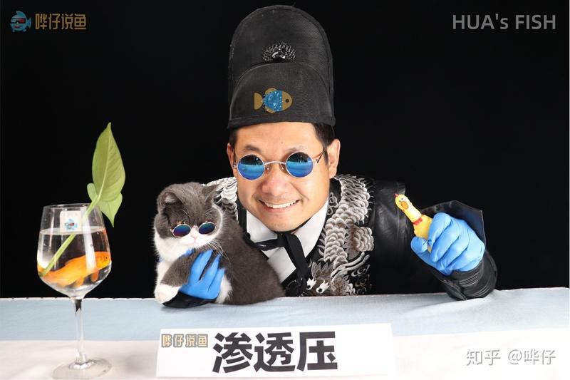 水族鹽是海鹽嗎