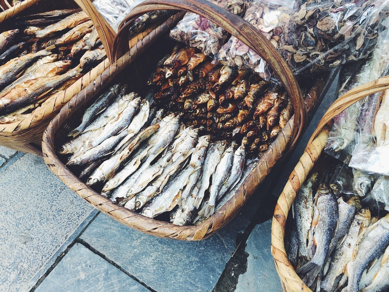 三間魚不吃食怎么回事