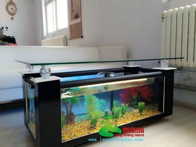 可麗愛(ài)魚(yú)缸售后維修電話是多少：可麗愛(ài)魚(yú)缸售后服務(wù)電話 可麗愛(ài)魚(yú)缸售后維修電話是多少：可麗愛(ài)魚(yú)缸售后服務(wù)電話 魚(yú)缸百科 第1張