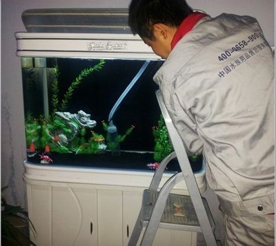 可麗愛(ài)魚(yú)缸售后維修電話是多少：可麗愛(ài)魚(yú)缸售后服務(wù)電話 可麗愛(ài)魚(yú)缸售后維修電話是多少：可麗愛(ài)魚(yú)缸售后服務(wù)電話 魚(yú)缸百科 第3張