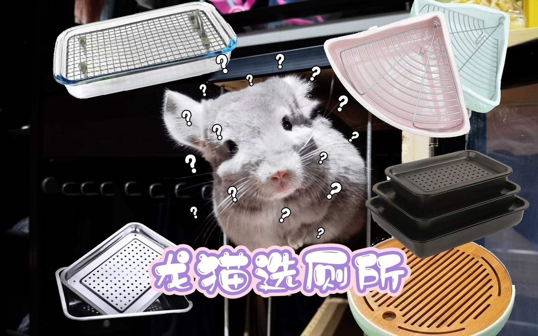 有哪些適合龍貓的廁所？
