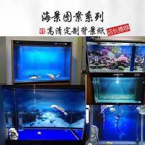黑底魚缸色彩搭配的藝術:黑底魚缸的色彩搭配 魚缸百科 第4張 黑底魚缸色彩搭配的藝術:黑底魚缸的色彩搭配 黑底魚缸色彩搭配的藝術:黑底魚缸的色彩搭配 魚缸百科 第4張