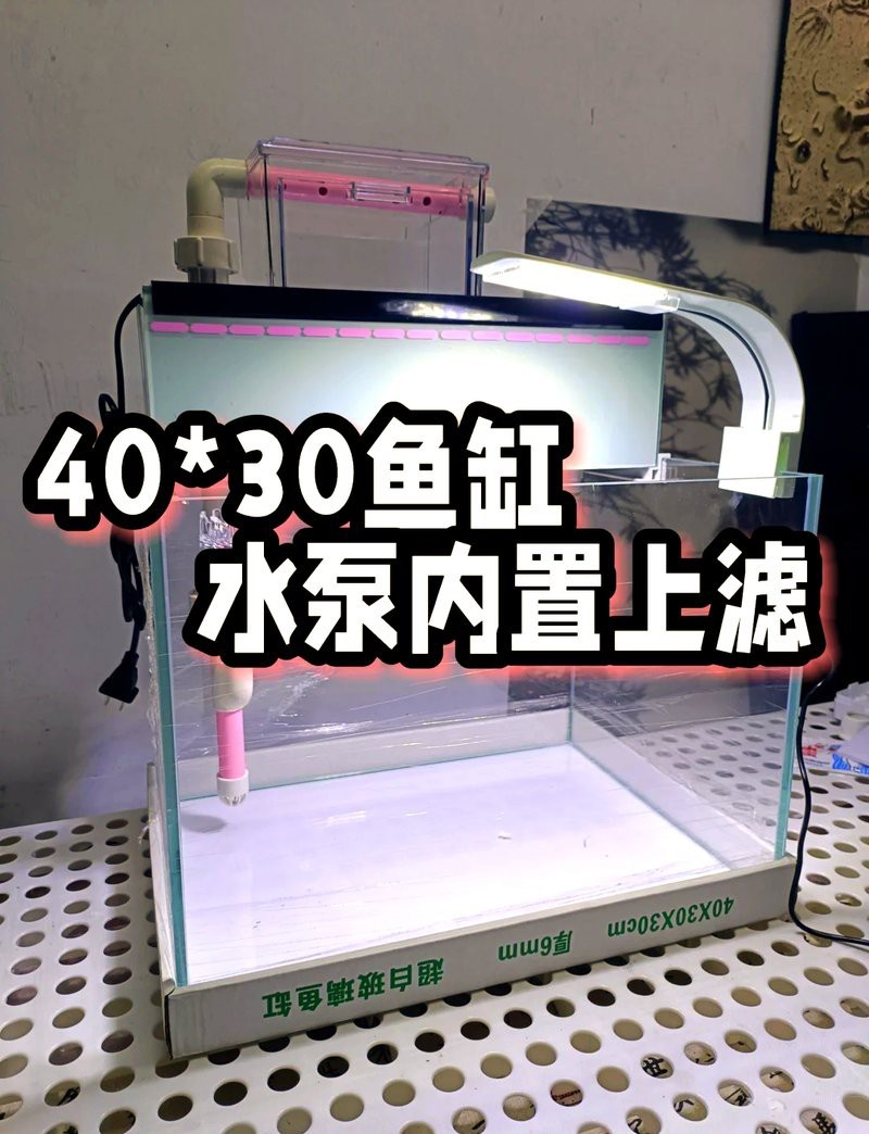 推薦幾款適合40缸養龍魚的水泵