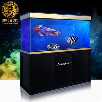 養龍魚的魚缸品牌：養龍魚的魚缸品牌介紹