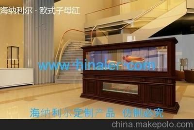 海納利爾魚缸的設計理念：海納利爾魚缸個性化定制的流程是什么？
