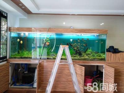 廣州魚缸造景展會(huì)2024年9月25日在廣州舉辦：2024廣州國(guó)際漁業(yè)博覽會(huì)