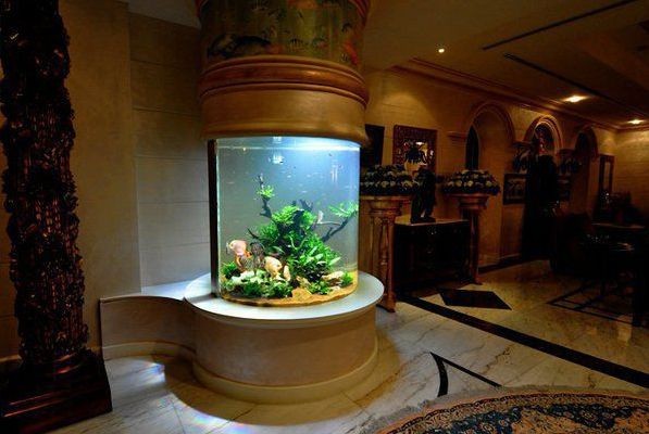 魚(yú)缸擺放最佳位置方向效果圖（家庭魚(yú)缸擺放最佳位置方向效果圖）