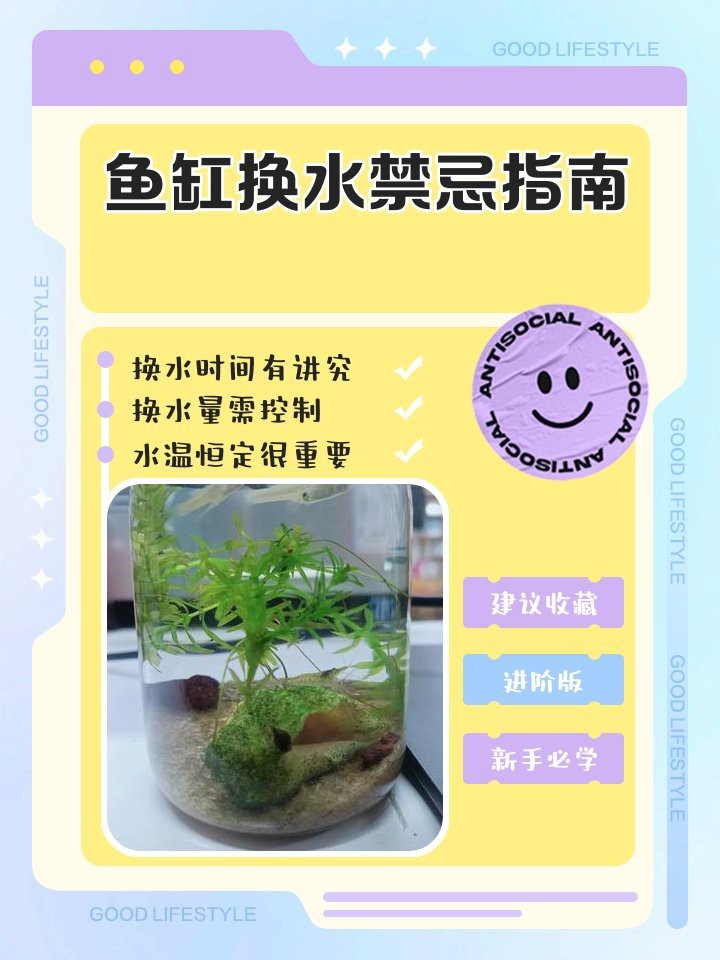 魚缸換水6大忌
