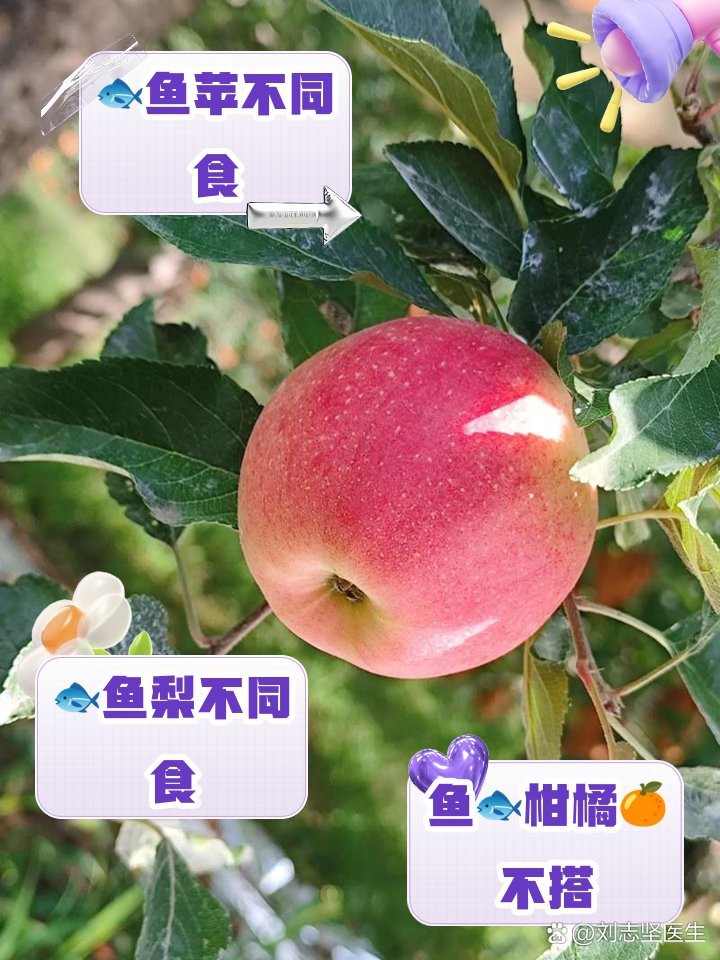 金頭過背金龍魚最忌諱三種水果