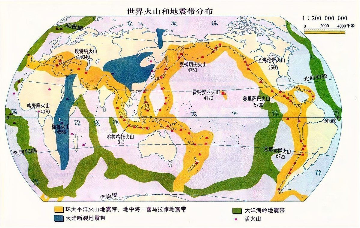 龍王魚為何會被稱為“地震魚”？