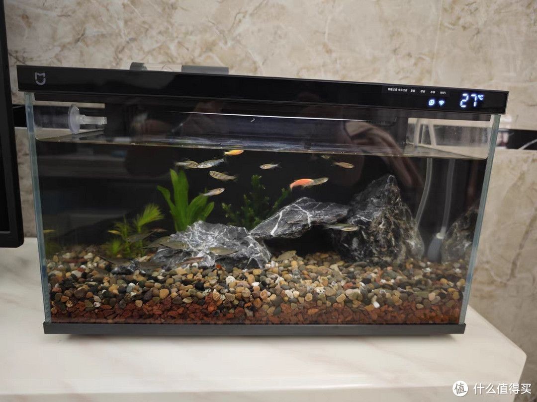 一品瀾合魚缸聲音大不大：一品瀾合魚缸噪音大不大