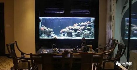 一品瀾合魚缸聲音大不大：一品瀾合魚缸噪音大不大