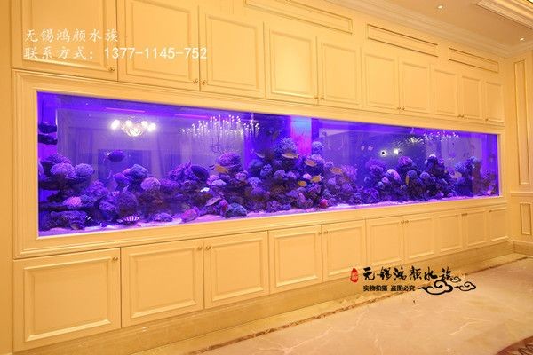 大型魚缸生產(chǎn)廠家：亞克力魚缸與玻璃魚缸對(duì)比大型魚缸維護(hù)保養(yǎng)指南