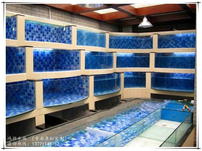 熱帶魚養殖指南熱帶魚養殖指南熱帶魚養殖指南熱帶魚養殖指南：關于海鮮魚缸尺寸圖的一般性建議 熱帶魚養殖指南熱帶魚養殖指南熱帶魚養殖指南熱帶魚養殖指南：關于海鮮魚缸尺寸圖的一般性建議 魚缸百科 第3張