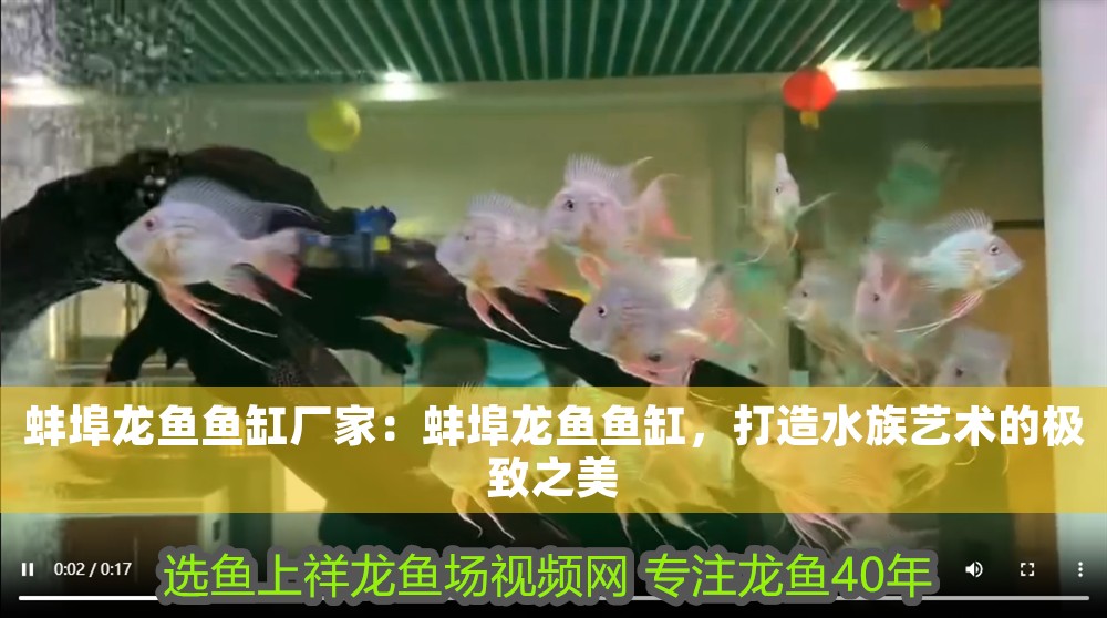 <strong><mark>蚌埠</mark></strong>龍魚(yú)魚(yú)缸廠家：<strong><mark>蚌埠</mark></strong>龍魚(yú)魚(yú)缸，打造水族藝術(shù)的極致之美